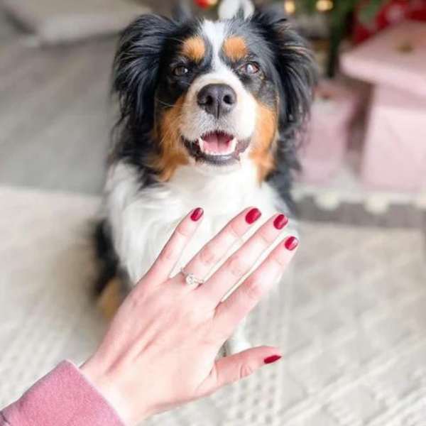 diamond engagement ring with dog in background