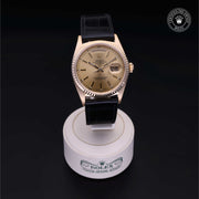 Oyster Perpetual  Day-Date