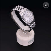 Oyster Perpetual Datejust