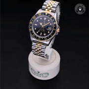 Oyster Perpetual  GMT-Master II