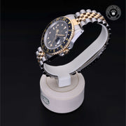 Oyster Perpetual  GMT-Master II