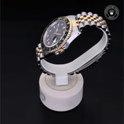 Oyster Perpetual  GMT-Master II