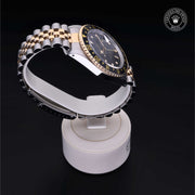 Oyster Perpetual  GMT-Master II