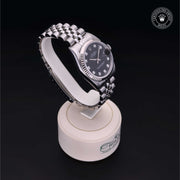 Oyster Perpetual  Datejust