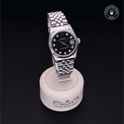 Oyster Perpetual  Datejust