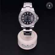 Yacht-Master