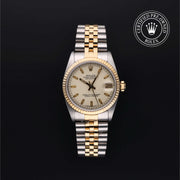 Oyster Perpetual  Datejust