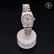 Oyster Perpetual  Datejust