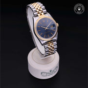 Oyster Perpetual  Date