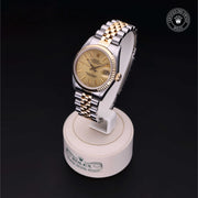 Oyster Perpetual  Datejust