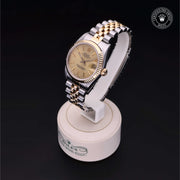 Oyster Perpetual  Datejust