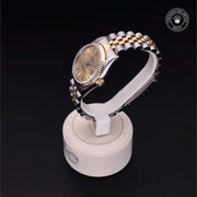Oyster Perpetual  Datejust
