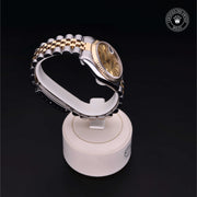 Oyster Perpetual  Datejust