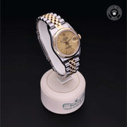 Oyster Perpetual  Datejust