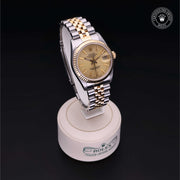 Oyster Perpetual  Datejust