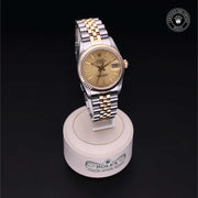 Oyster Perpetual  Datejust