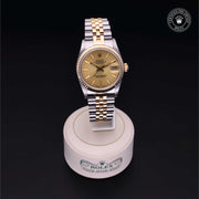 Oyster Perpetual  Datejust