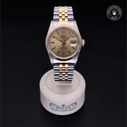 Oyster Perpetual Datejust