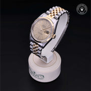 Oyster Perpetual Datejust