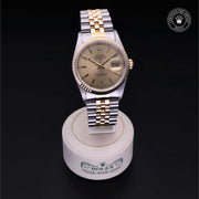 Oyster Perpetual Datejust