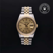 Oyster Perpetual Datejust