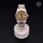 Oyster Perpetual Datejust
