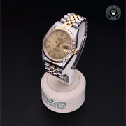 Oyster Perpetual Datejust