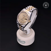 Oyster Perpetual Datejust