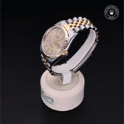 Oyster Perpetual Datejust