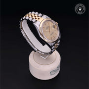 Oyster Perpetual Datejust