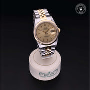 Oyster Perpetual Datejust