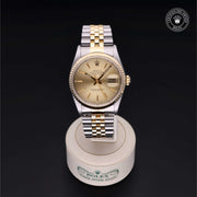 Oyster Perpetual Datejust