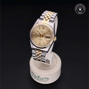 Oyster Perpetual Datejust