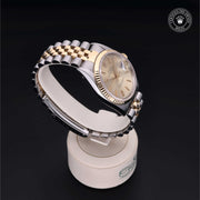 Oyster Perpetual Datejust