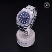 Yacht-Master