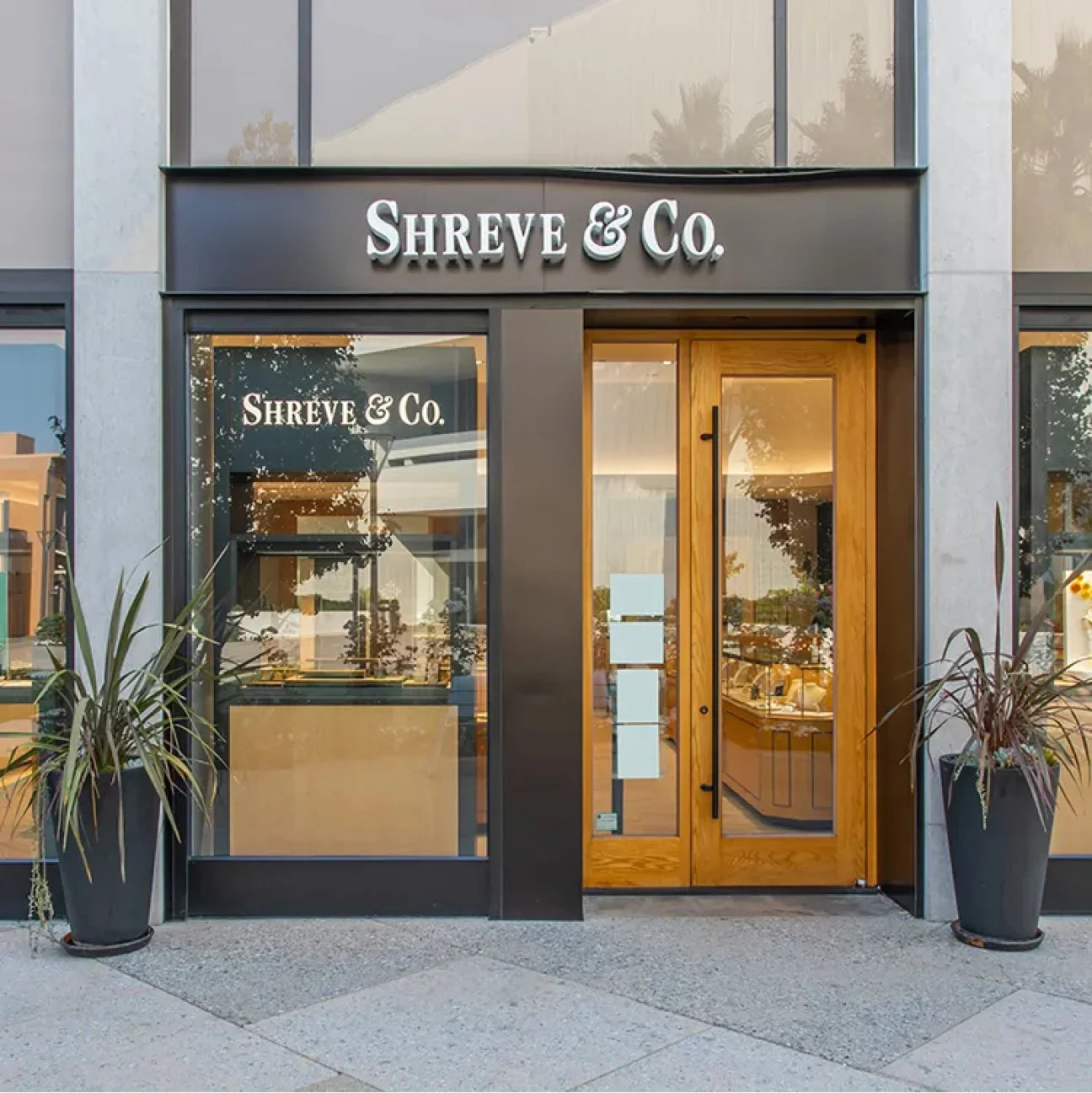 Rolex watches at SHREVE & CO.