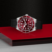 Discover the TUDOR Black Bay 58 watch M7939A1A0RU-0003 - presented at Shreve & Co.