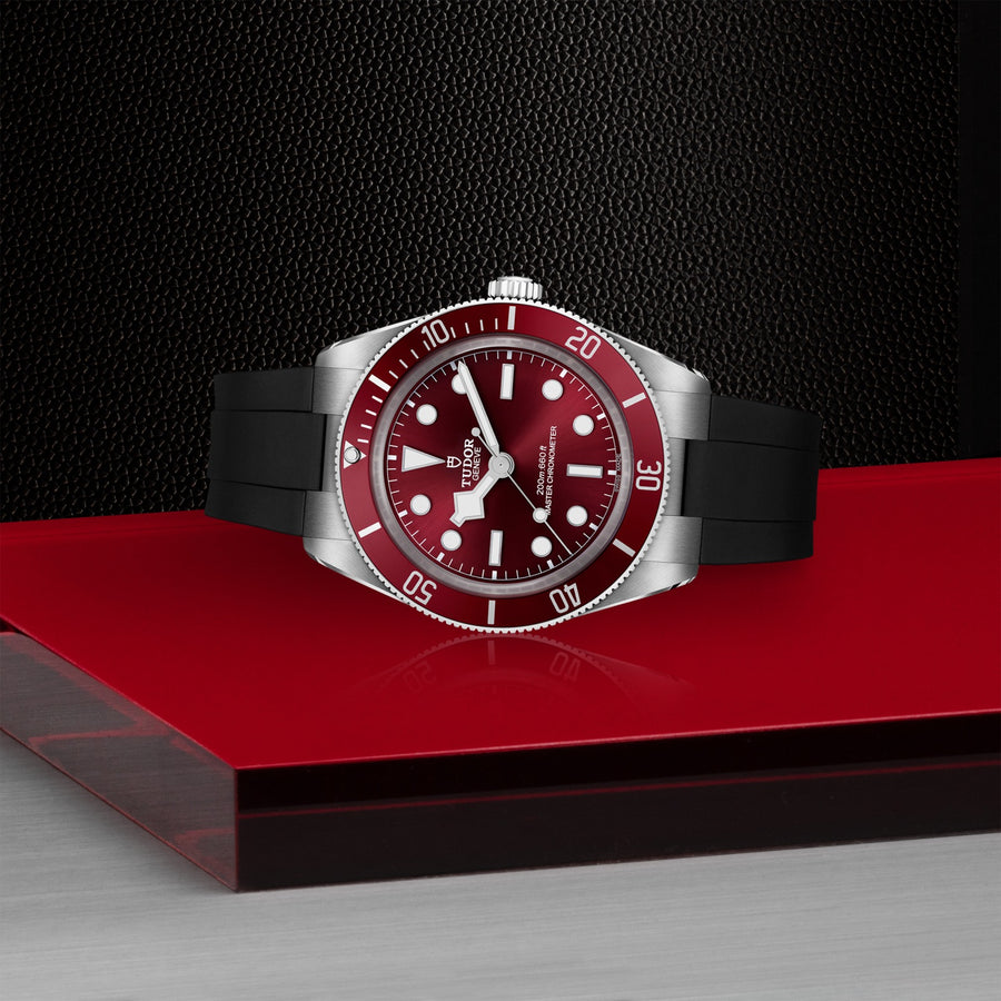 Discover the TUDOR Black Bay 58 watch M7939A1A0RU-0003 - presented at Shreve & Co.