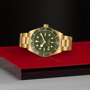 TUDOR Black Bay 58 18k 39mm - M79018V-0006 at Shreve & Co.