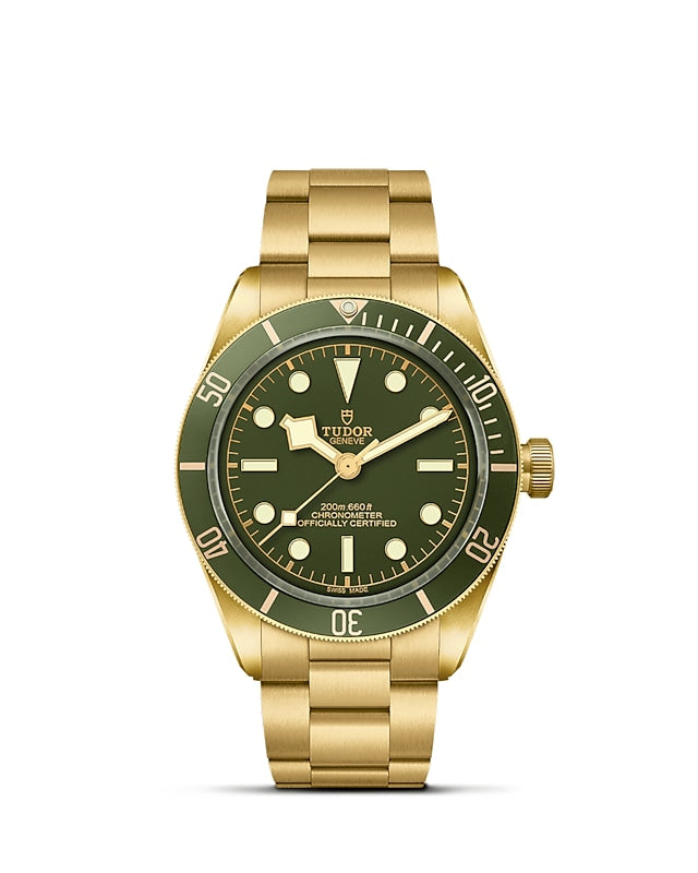 TUDOR Black Bay 58 18k 39mm - M79018V-0006 at Shreve & Co.