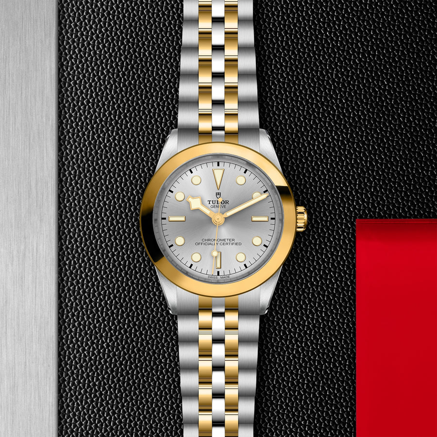 TUDOR Black Bay One 39 S&G 39mm - M79663-0002 at Shreve & Co.