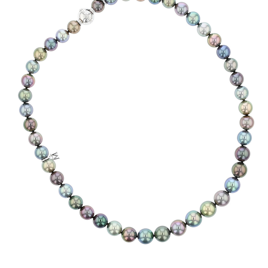 Multi Black South Sea Pearl Necklace