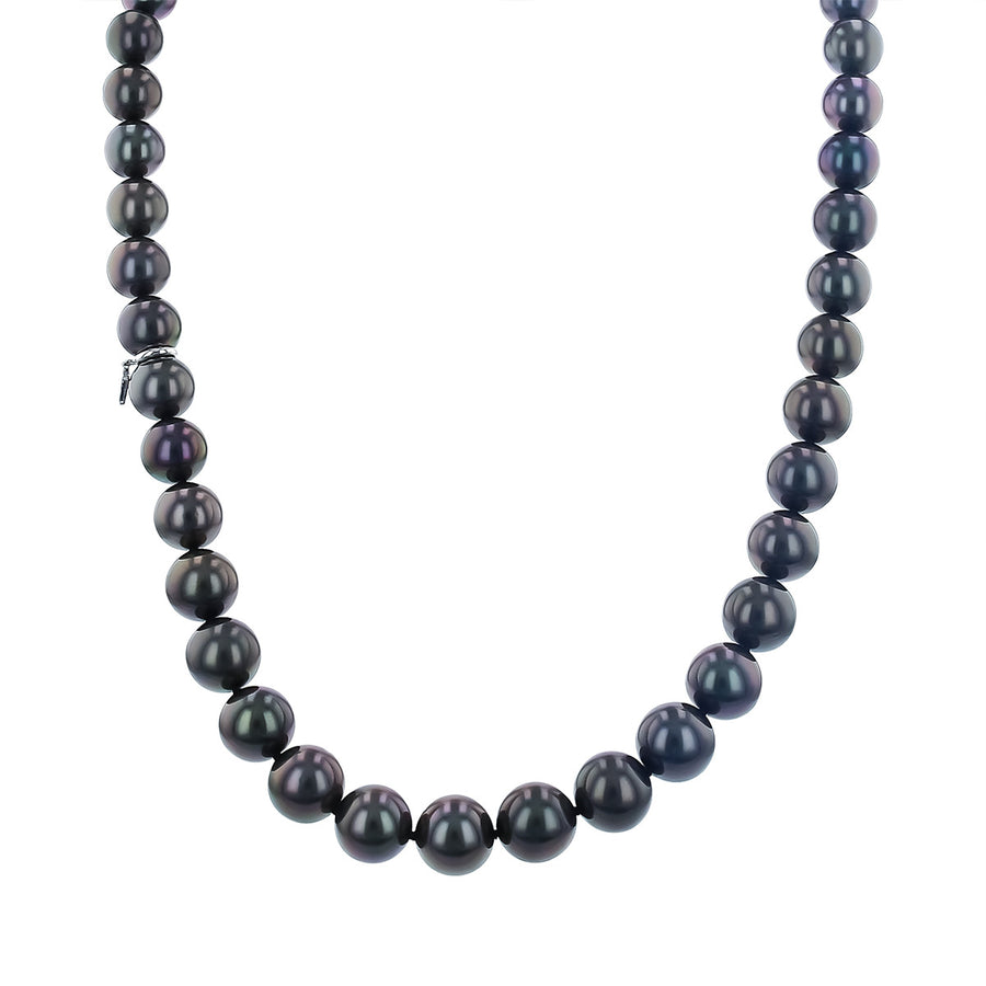 Black South Sea Cultured Pearl Necklace