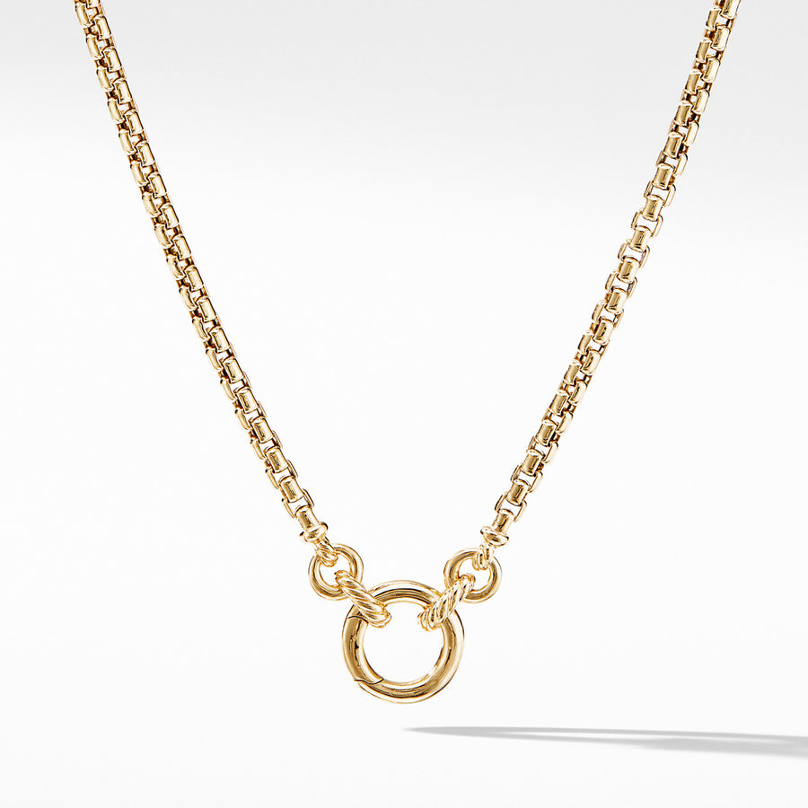 Amulet Vehicle Box Chain Necklace in 18K Yellow Gold