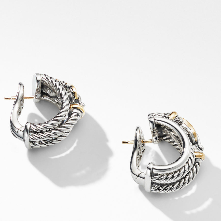 Buckle Shrimp Earrings with 18K Yellow Gold