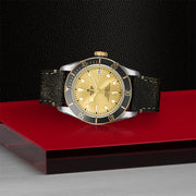 TUDOR Black Bay S&G 41mm - M79733N-0003 at Shreve & Co.