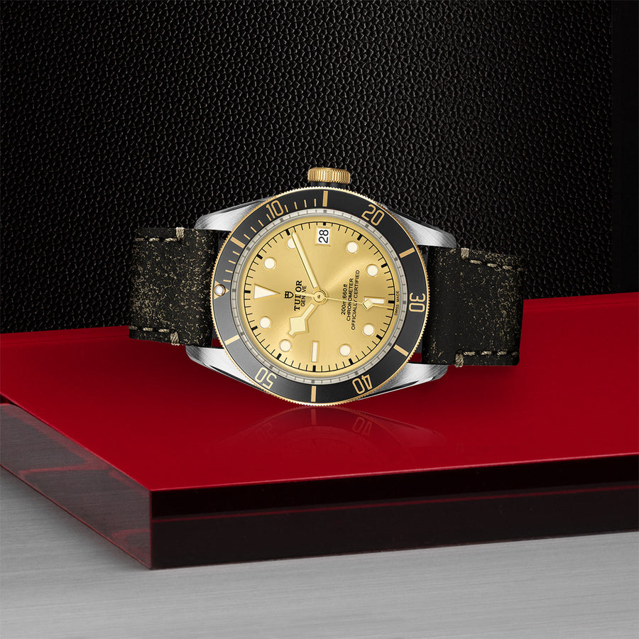 TUDOR Black Bay S&G 41mm - M79733N-0003 at Shreve & Co.