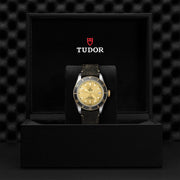 TUDOR Black Bay S&G 41mm - M79733N-0003 at Shreve & Co.
