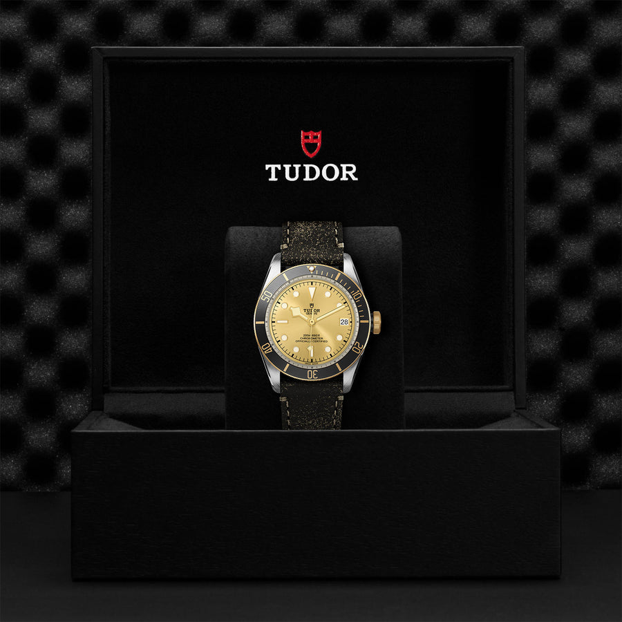 TUDOR Black Bay S&G 41mm - M79733N-0003 at Shreve & Co.