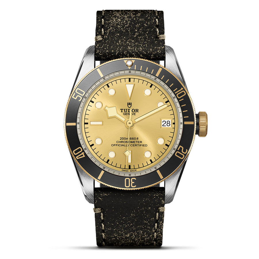 TUDOR Black Bay S&G 41mm - M79733N-0003 at Shreve & Co.